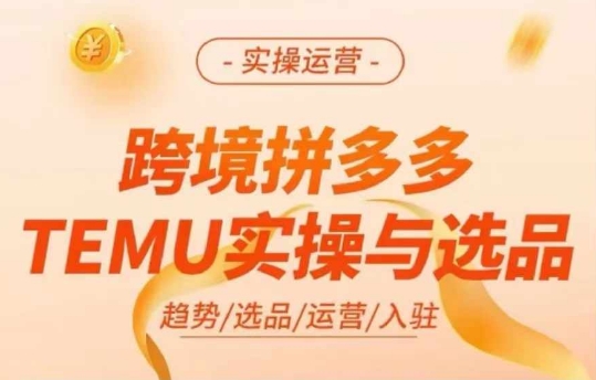 跨境拼多多TEMU实操与选品，多多temu跨境选品运营实操-轻创副业圈